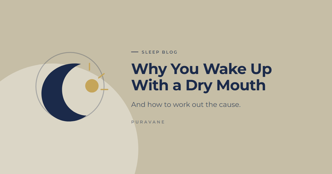 Illustration of a crescent moon and rising sun — Why You Wake Up With a Dry Mouth (And How to Work Out the Cause)